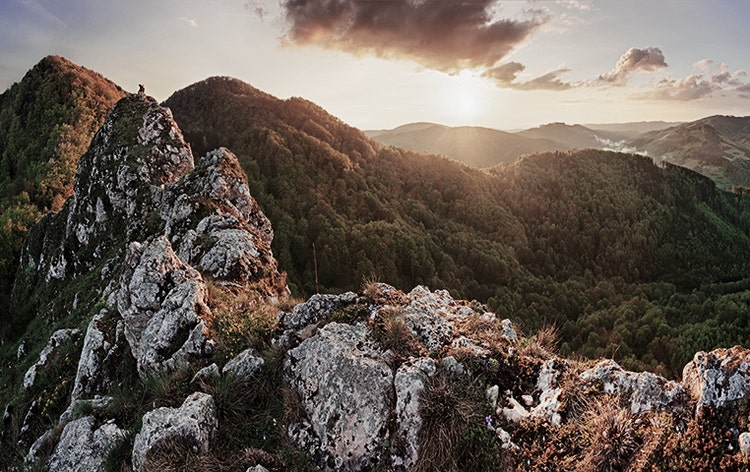 Look before you leap