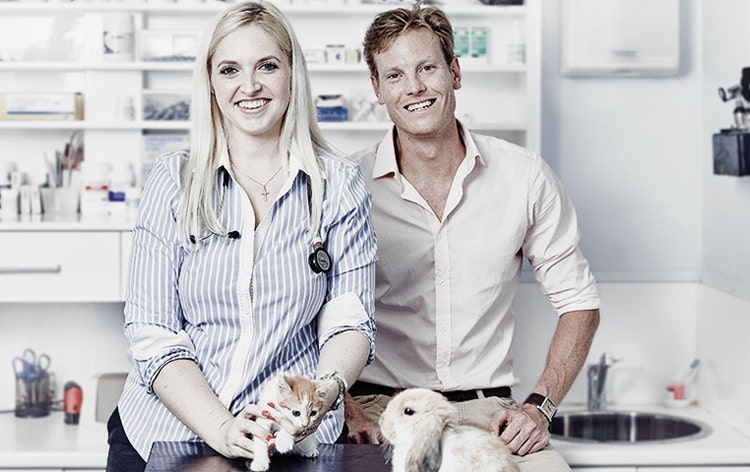 Buying your own veterinary practice